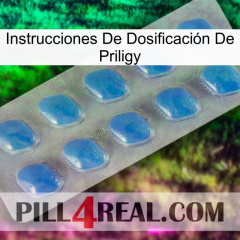 Instrucciones De Dosificación De Priligy 22